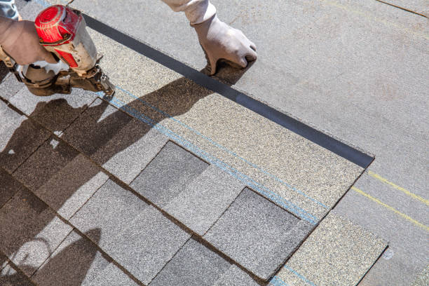 Best Roof Gutter Cleaning  in Bodfish, CA
